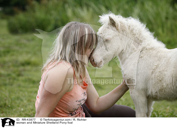 woman and Miniature Shetland Pony foal / RR-43877