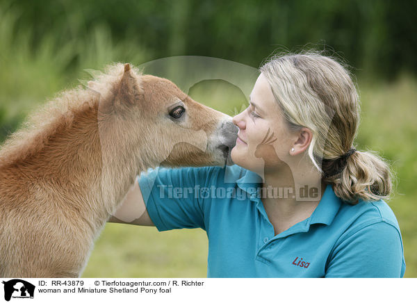 woman and Miniature Shetland Pony foal / RR-43879