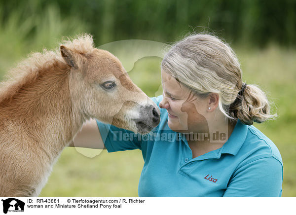 woman and Miniature Shetland Pony foal / RR-43881