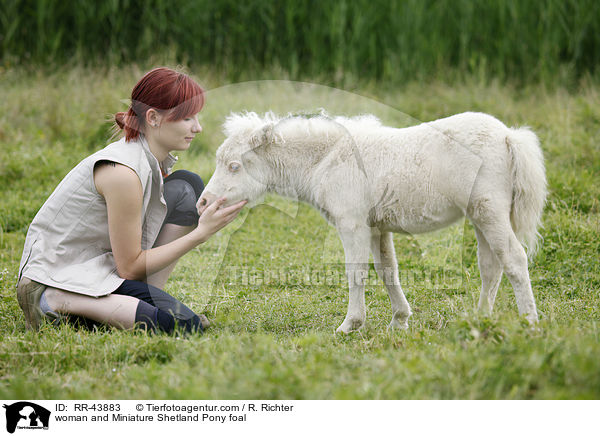 woman and Miniature Shetland Pony foal / RR-43883