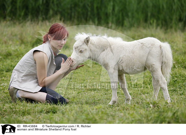 woman and Miniature Shetland Pony foal / RR-43884