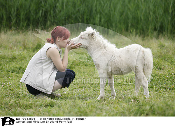 woman and Miniature Shetland Pony foal / RR-43886