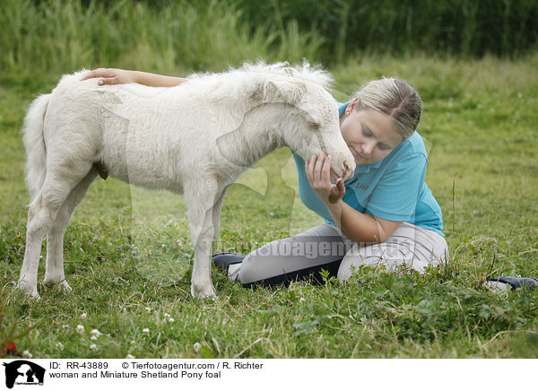 woman and Miniature Shetland Pony foal / RR-43889