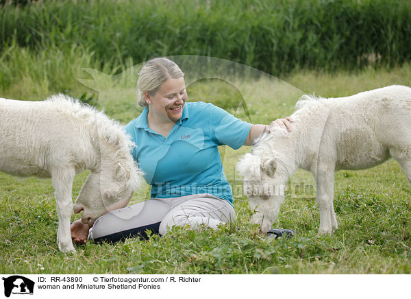 woman and Miniature Shetland Ponies / RR-43890