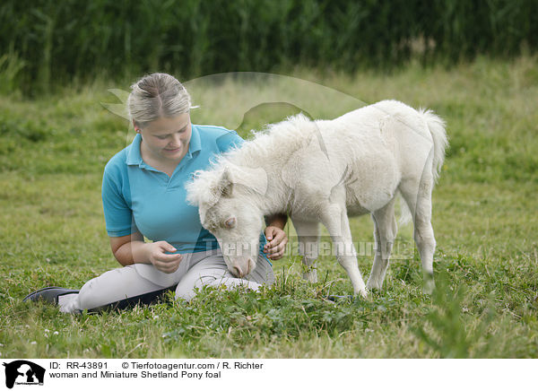 woman and Miniature Shetland Pony foal / RR-43891
