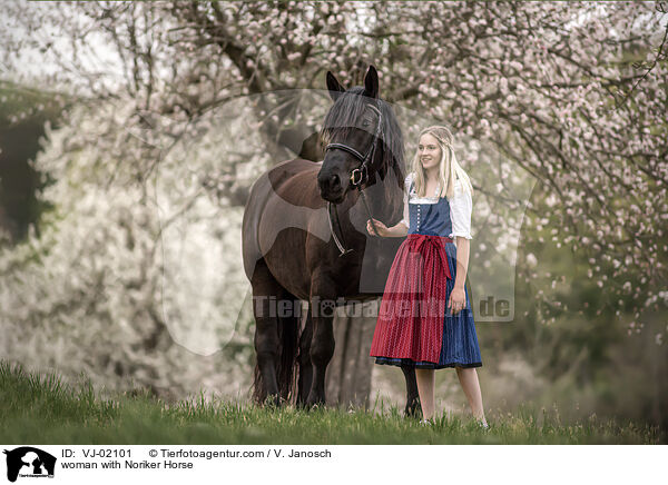 woman with Noriker Horse / VJ-02101