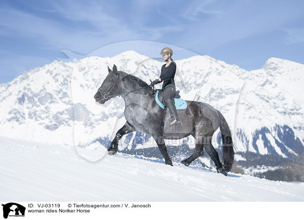 woman rides Noriker Horse / VJ-03119