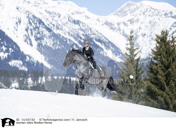 Frau reitet Noriker / woman rides Noriker Horse / VJ-03132