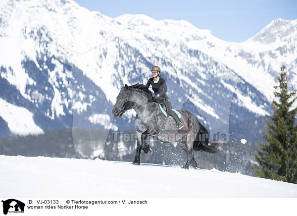 Frau reitet Noriker / woman rides Noriker Horse / VJ-03133