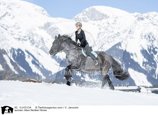 woman rides Noriker Horse / VJ-03134