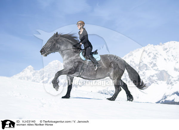woman rides Noriker Horse / VJ-03140