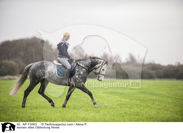 Frau reitet Oldenburger / woman rides Oldenburg Horse / AP-13063