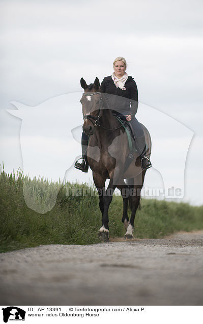 woman rides Oldenburg Horse / AP-13391