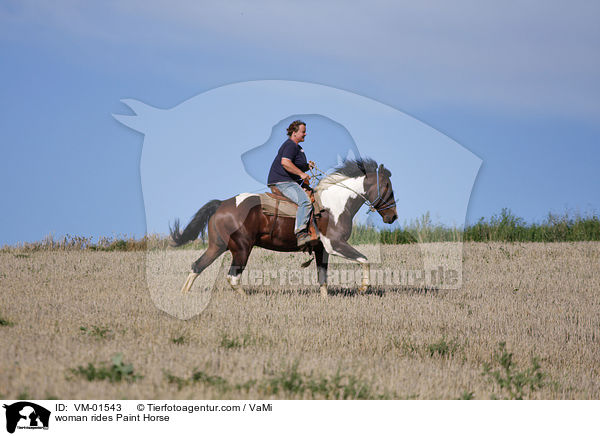 woman rides Paint Horse / VM-01543