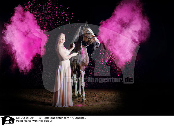 Paint Horse with holi colour / AZ-01201