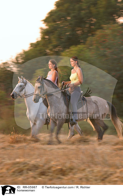 tltende Paso Finos / horsewoman / RR-05987