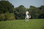 woman rides Percheron