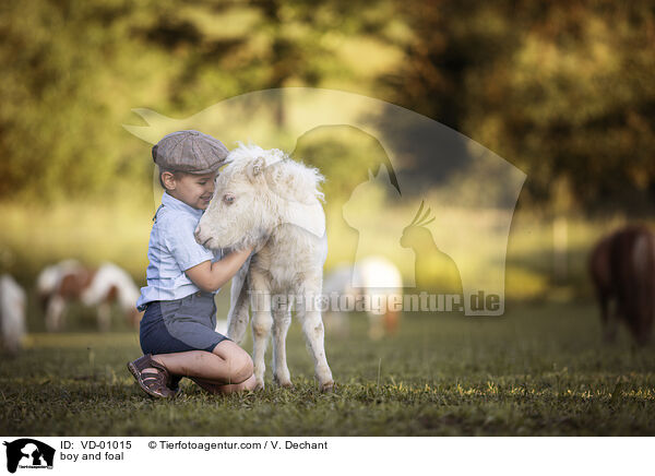 boy and foal / VD-01015