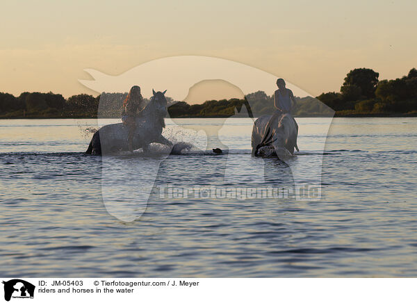 riders and horses in the water / JM-05403