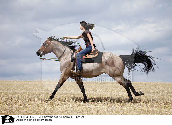 western riding horsewoman / RR-38147