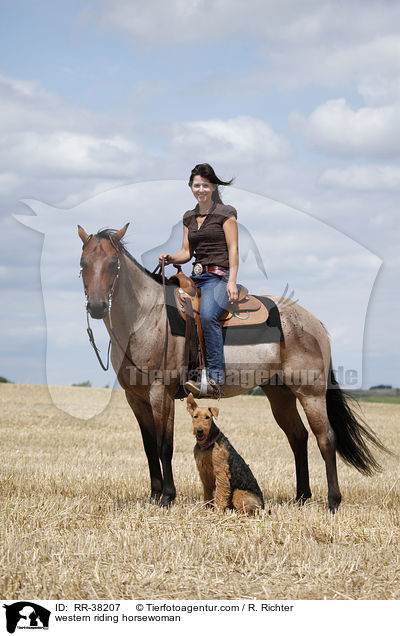 western riding horsewoman / RR-38207