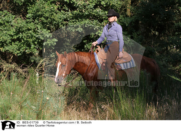 woman rides Quarter Horse / BES-01739