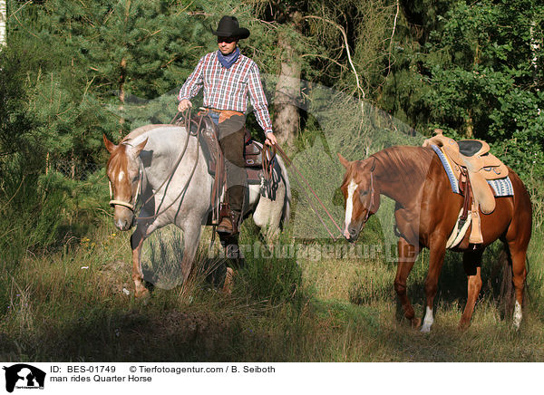 man rides Quarter Horse / BES-01749