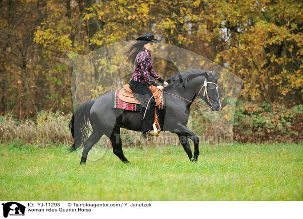 woman rides Quarter Horse / YJ-11293