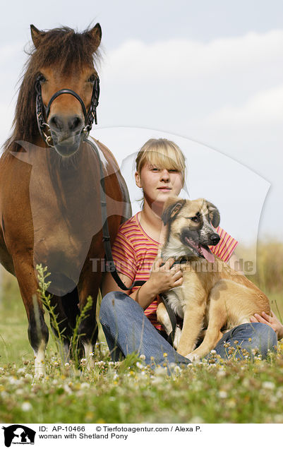 woman with Shetland Pony / AP-10466