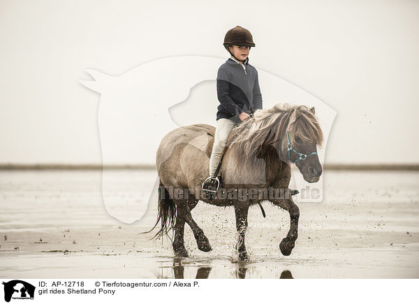 Mdchen reitet Shetland Pony / girl rides Shetland Pony / AP-12718