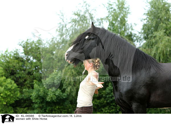 woman with Shire Horse / KL-06986