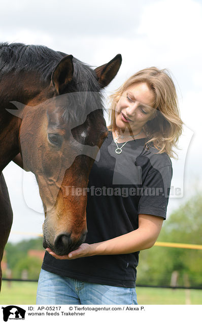 woman feeds Trakehner / AP-05217