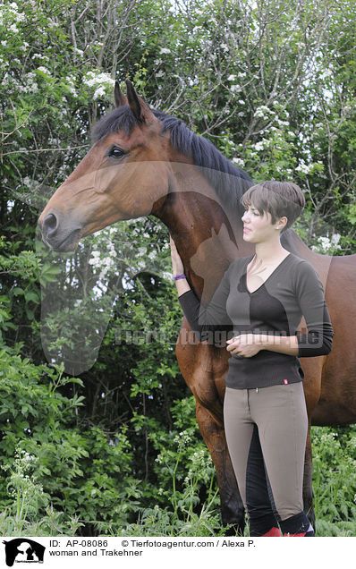 woman and Trakehner / AP-08086