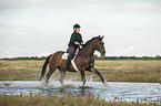 woman rides Trakehner