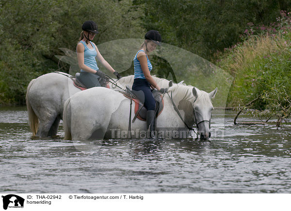 horseriding / THA-02942