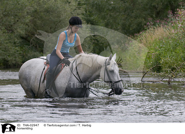 horseriding / THA-02947