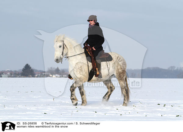 woman rides warmblood in the snow / SS-26856