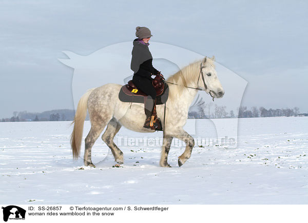 woman rides warmblood in the snow / SS-26857