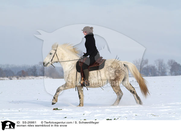 woman rides warmblood in the snow / SS-26861