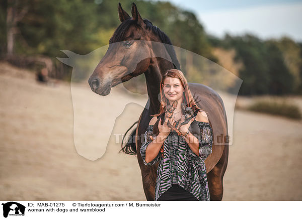 woman with dogs and warmblood / MAB-01275