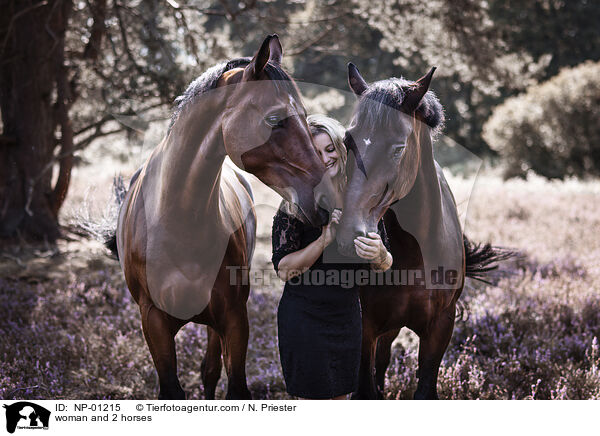 Frau und 2 Pferde / woman and 2 horses / NP-01215