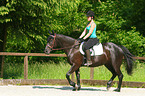 woman rides warmblood