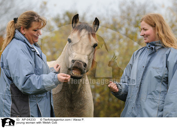 junge Frau mit Welsh Cob / young woman with Welsh Cob / AP-04233