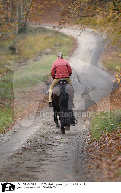 young woman with Welsh Cob / AP-04283