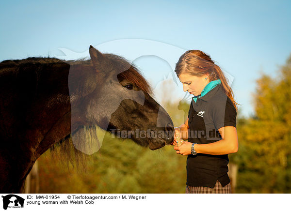 young woman with Welsh Cob / MW-01954