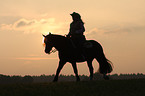 woman rides Welsh-Cob