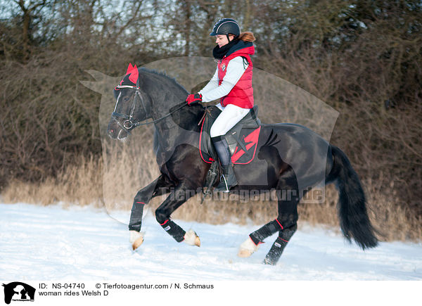 Frau reitet Welsh D / woman rides Welsh D / NS-04740