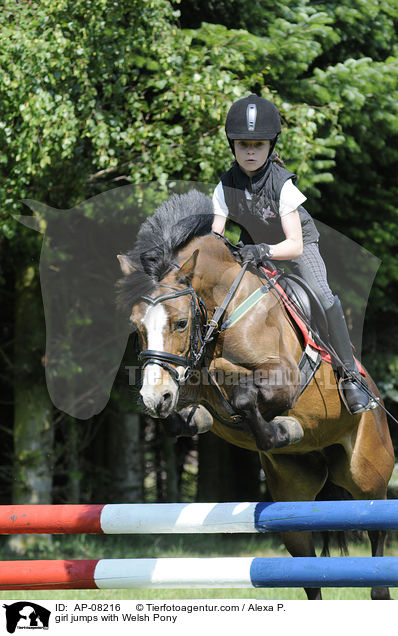 girl jumps with Welsh Pony / AP-08216