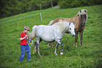 boy with ponys