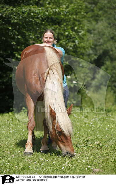 Frau und Haflinger-Mix / woman and crossbreed / RR-53588